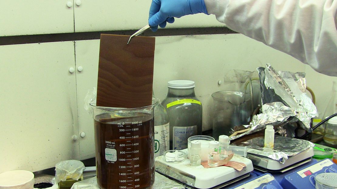 A scientist from the study demonstrates the process of 'stripping' wood of its color