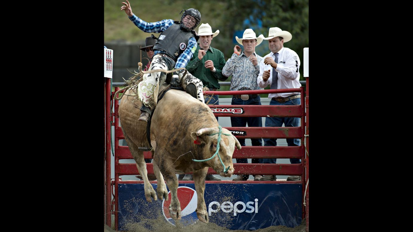 A cowboy rides a bull during the Cloverdale Rodeo in Surrey, British Columbia, on Saturday, May 21.
