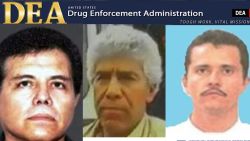 drug kingpins