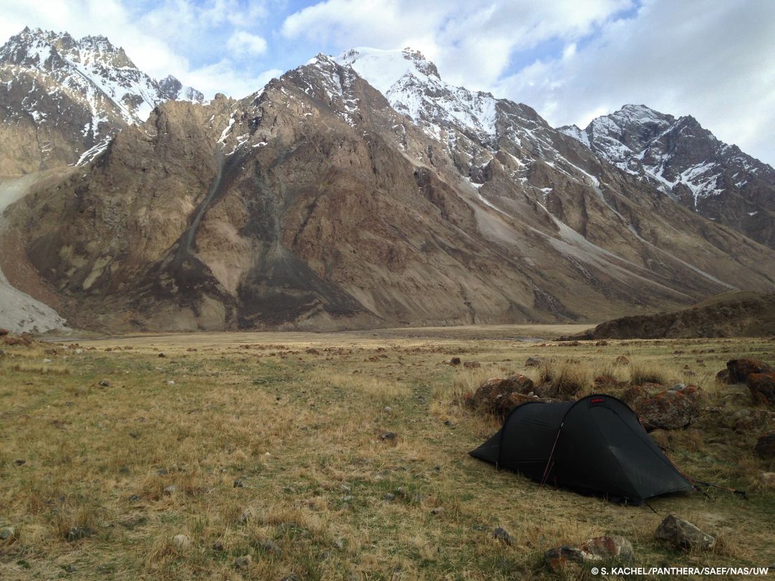 The nature reserve in Kyrgyzstan where the female snow leopard was captured