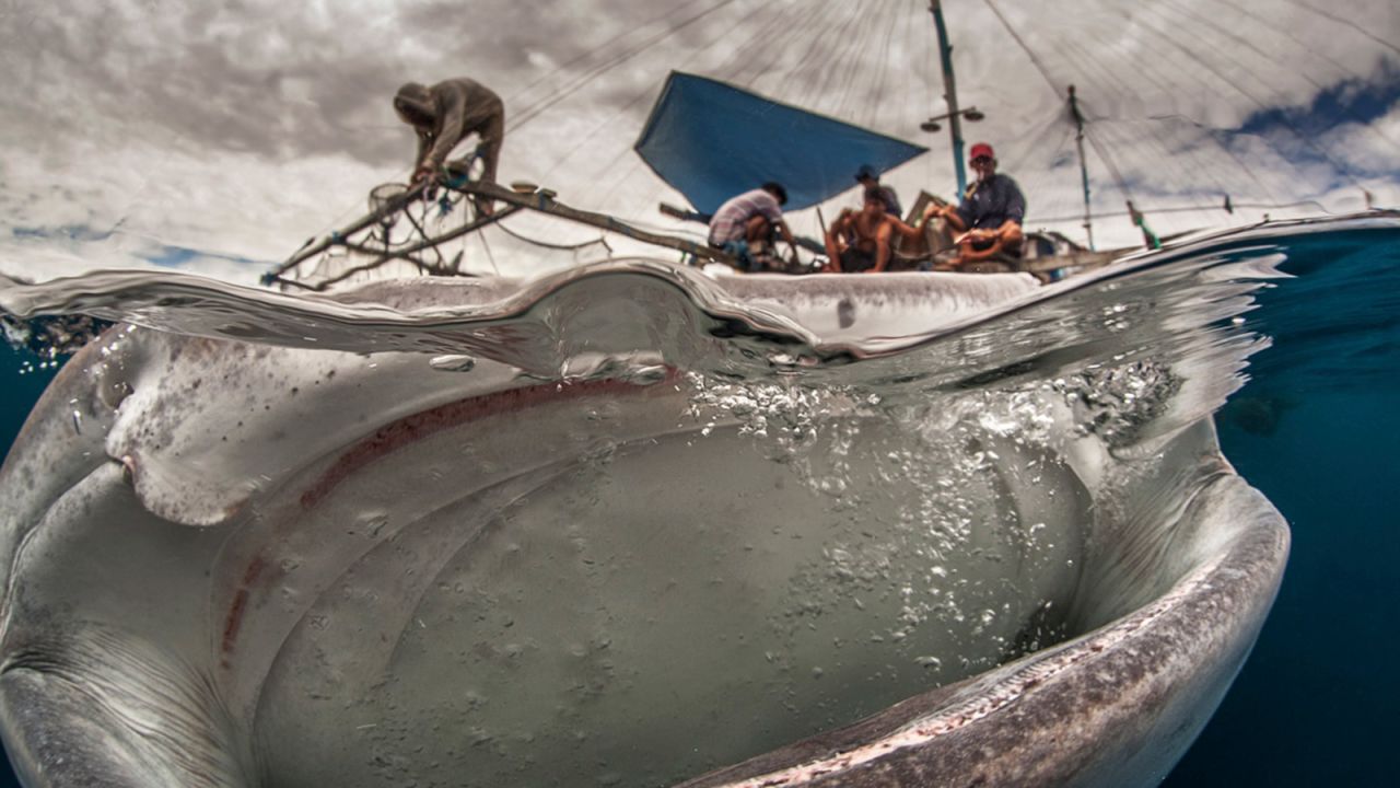 Basques is known for her split-image photos, half above, half below water.