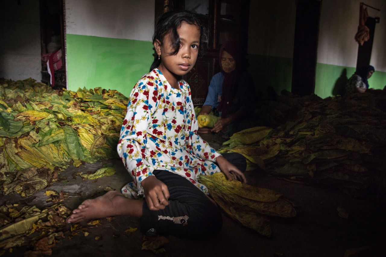 Thousands of children work in Indonesia's tobacco farms, <a href="https://www.hrw.org/news/2016/05/25/indonesia-child-tobacco-workers-suffer-firms-profit" target="_blank" target="_blank">Human Rights Watch says. </a>