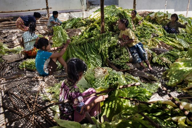 The Indonesian government and international tobacco companies have been called to do more to stamp out child labor in the industry.