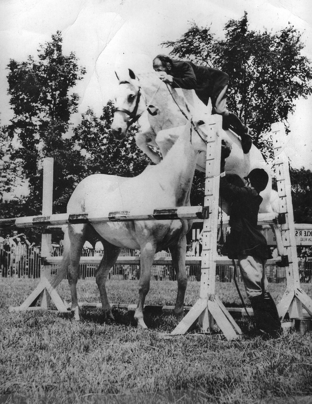 Snowman 'The Cinderella Horse' that warmed the hearts of a nation CNN