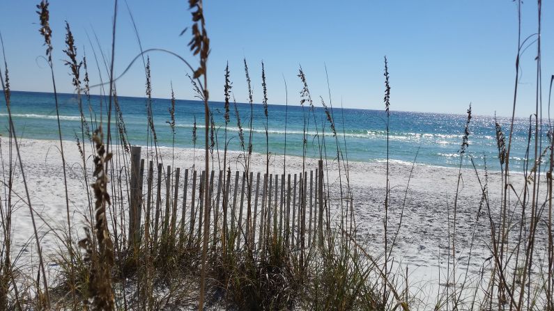 Development has been restrained at Grayton Beach State Park on the Florida panhandle, so the white sand dunes still dominate the landscape. 