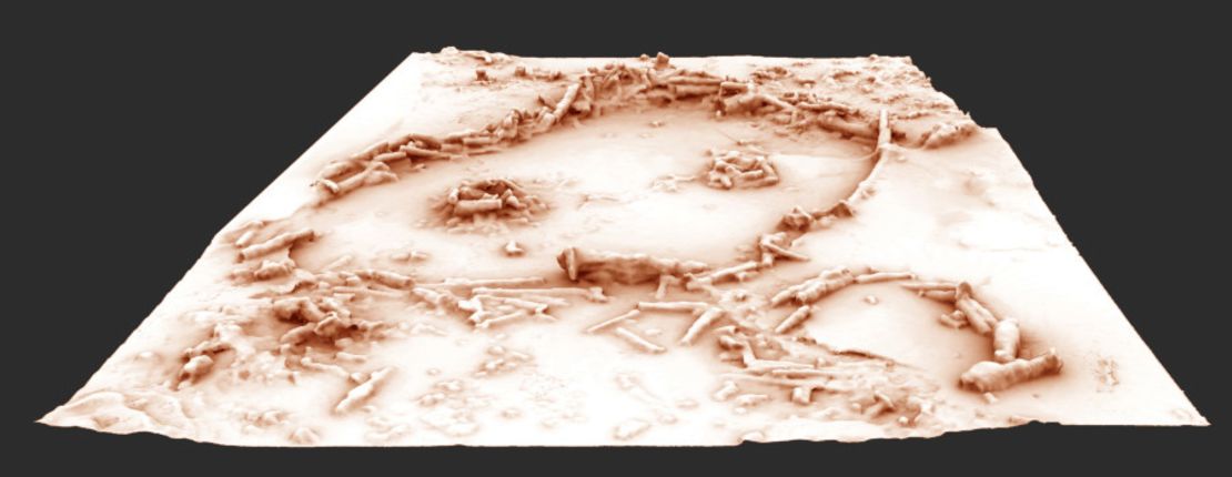 A 3D reconstruction of the Bruniquel Cave structures.