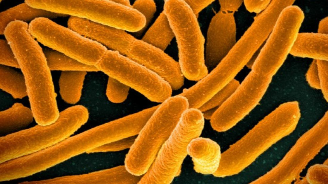 The bacteria Escherichia coli (E. coli) naturally occurs in your gut, and while most strains are harmless, some can cause severe foodborne diseases, with symptoms ranging from fever, nausea and vomiting to bloody diarrhea. The infections are transmitted by eating or drinking contaminated food and water. <br /><br />Multi-drug resistance in E. coli has been <a href="http://wwwnc.cdc.gov/eid/article/19/10/13-0309_article" target="_blank" target="_blank">increasingly reported in urinary tract infections (UTIs)</a>. According to the WHO, the most widely used oral treatment  -- fluoroquinolones -- are also becoming ineffective. A U.S woman was reported to be<a href="http://edition.cnn.com/2016/05/26/health/first-superbug-cre-case-in-us/index.html"> infected with a rare kind of E. coli </a>infection that is resistant to antibiotics, even one used as a last resort.<br />