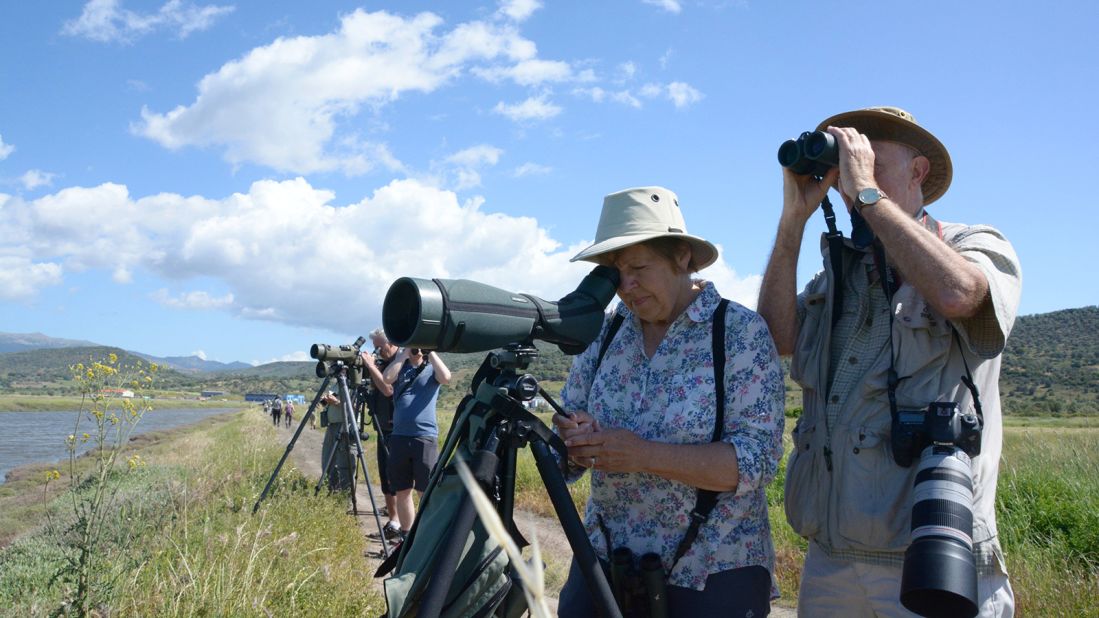 In spring, Lesbos is usually one of the hottest birdwatching spots in Europe. This year, Gill Greenhall and her husband Mel are among the few making the trip. They've been enjoying annual bird-watching vacations on the island for more than a decade. 