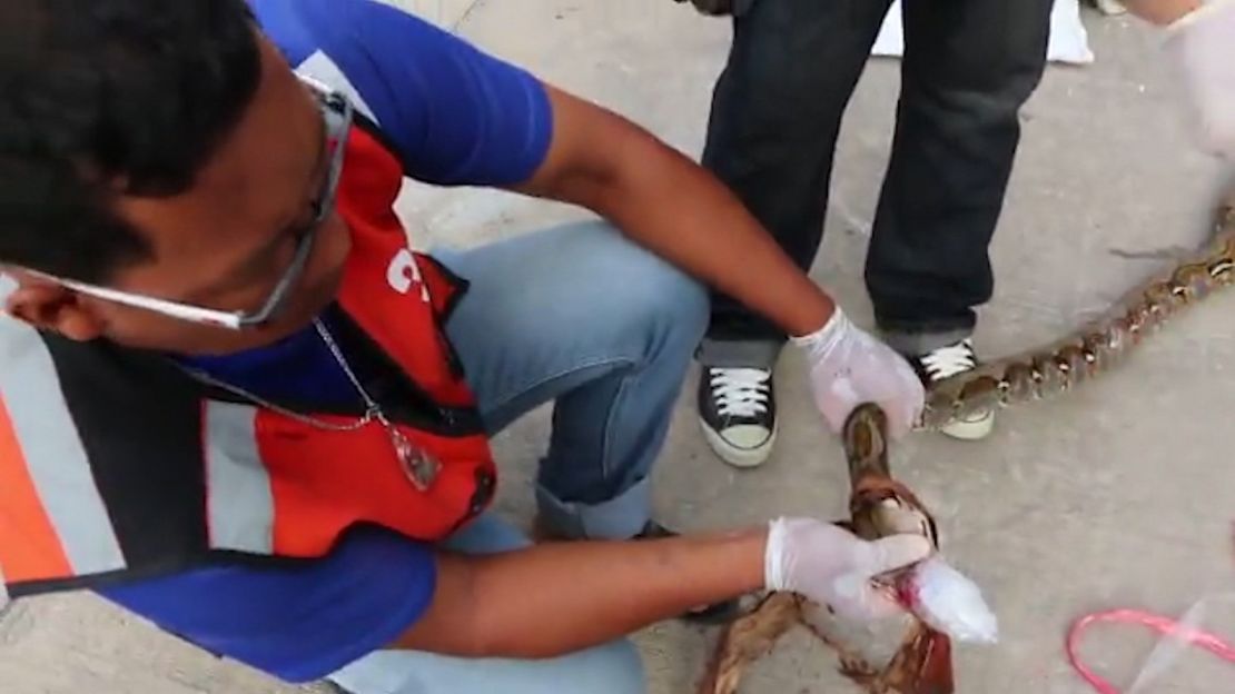 Emergency workers had to dismantle the toilet to dislodge the snake.