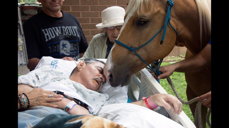 A horse nuzzles Vietnam veteran Roberto Gonzales outside a VA hospital in San Antonio on Saturday, May 21. Gonzales, a disabled horse trainer, <a href="index.php?page=&url=http%3A%2F%2Fwww.cnn.com%2F2016%2F05%2F23%2Fhealth%2Fdying-veteran-reunited-with-horses-trnd%2F" target="_blank">wanted to spend some of his precious final moments with two of his beloved friends:</a> his horses, Ringo and Sugar. He died two days later.