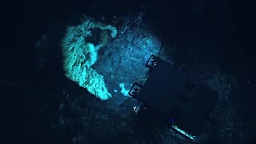 massive deep sea sponge discovery emarticke orig_00003405.jpg