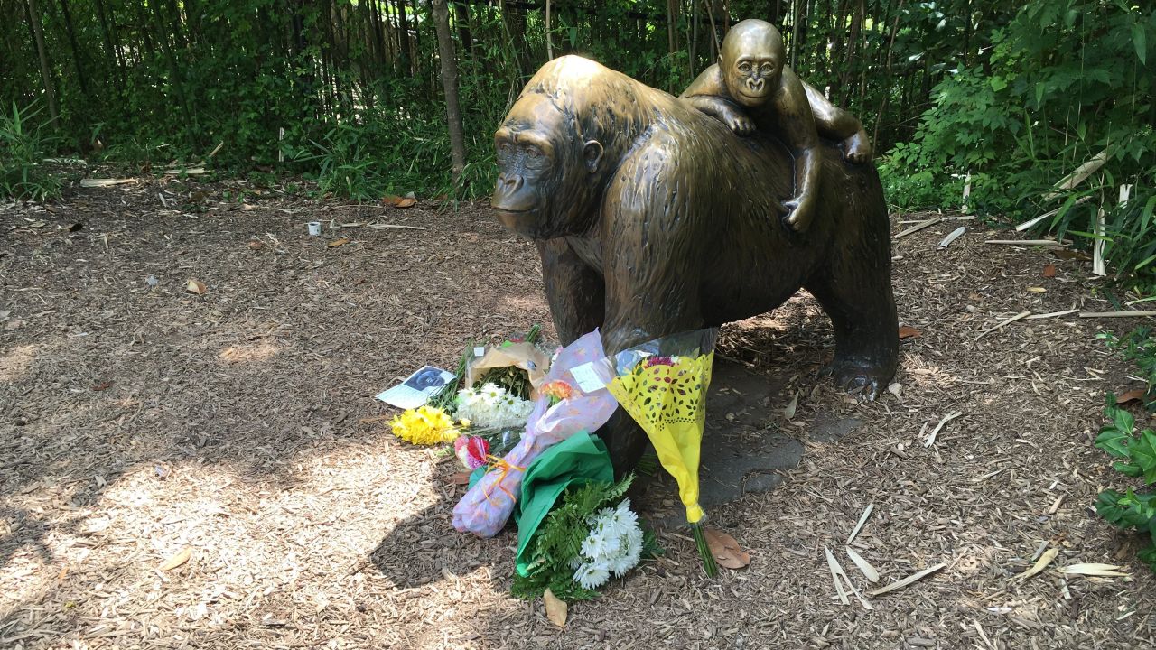 Well-wishers left flowers by the gorilla statue at the Cincinnati Zoo. 