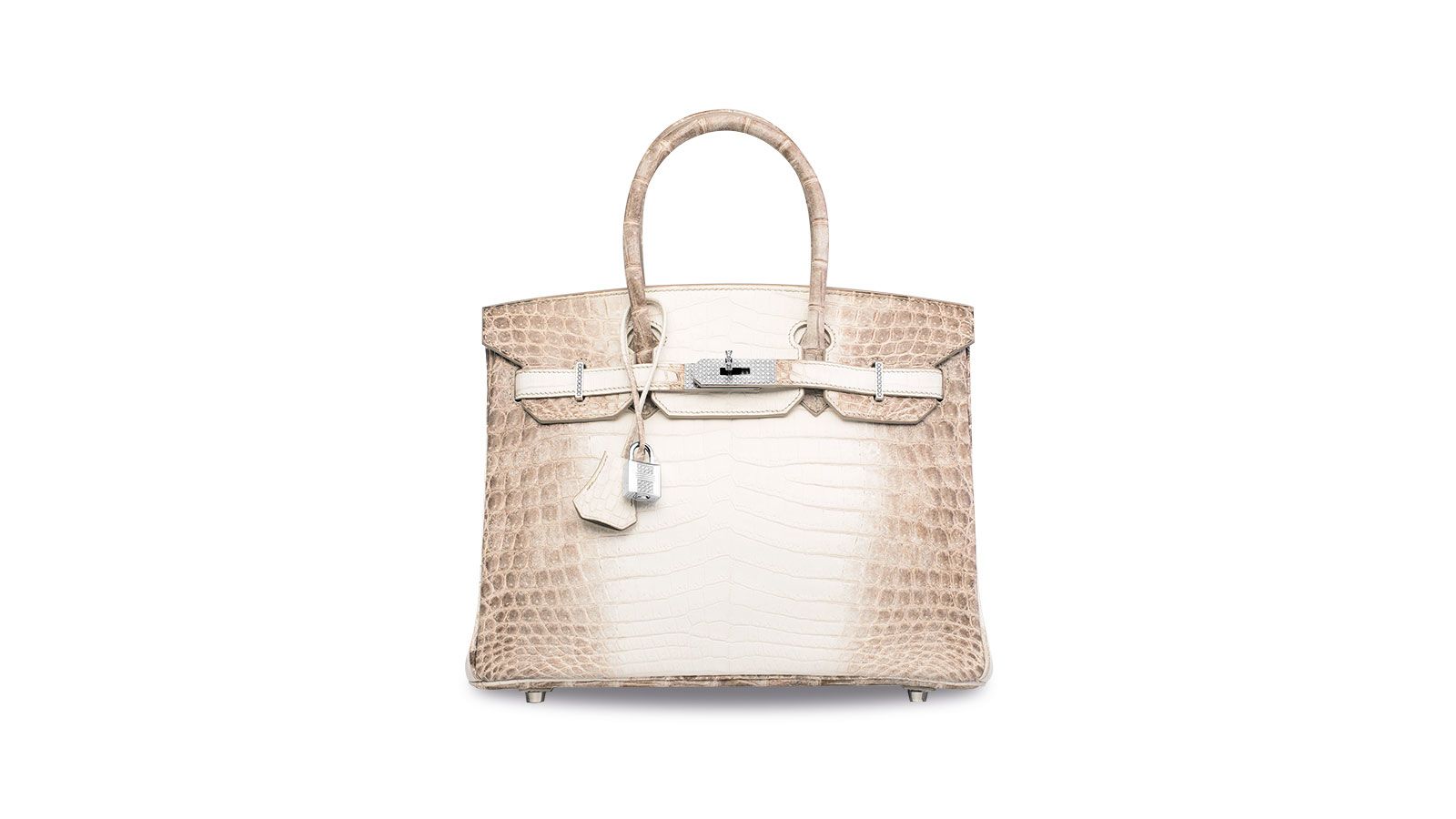 Diamond encrusted himalaya Birkin  Expensive handbags, Most expensive  handbags, Fun bags