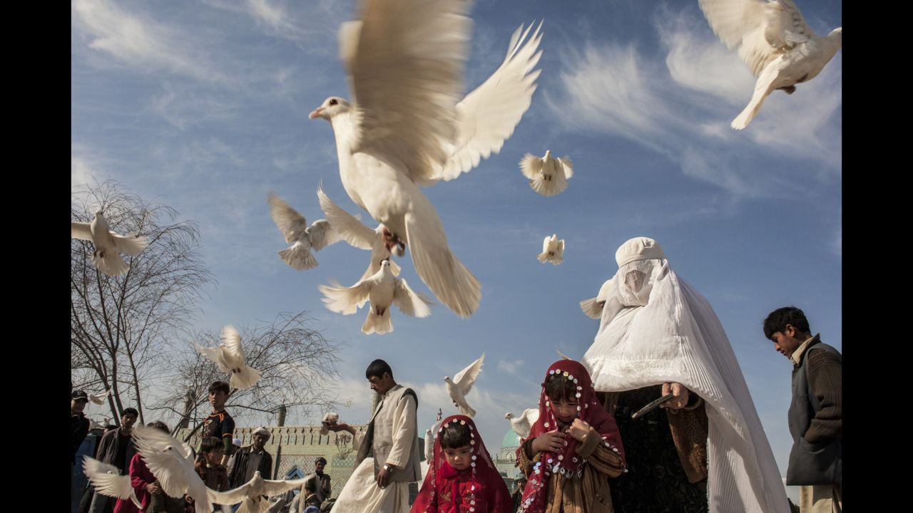 A family feeds pigeons at the Blue Mosque in Mazar-e-Sharif, Afghanistan, in November 2009.