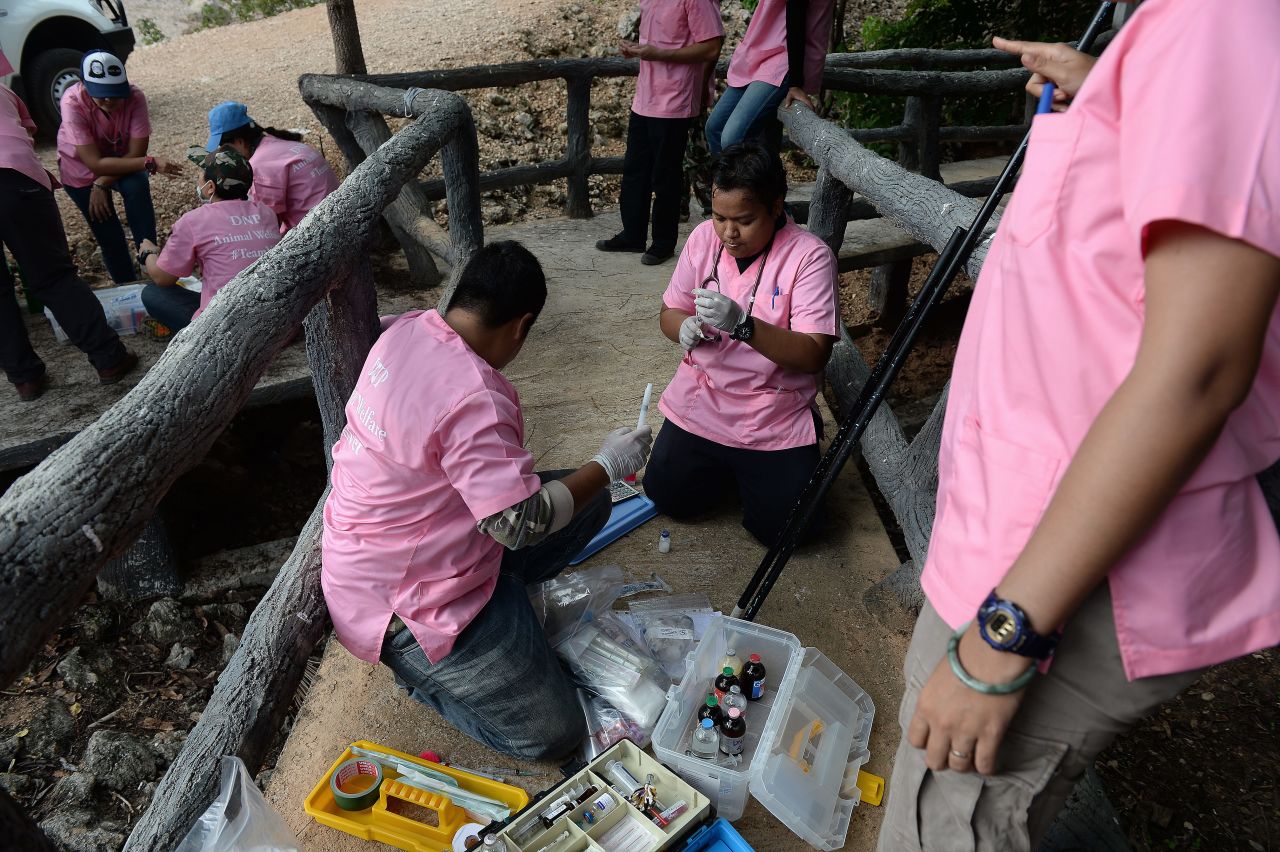 Veterinarians prepare anesthetic syringes used to sedate the tigers.