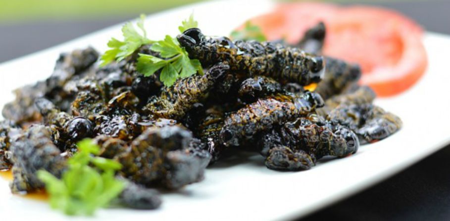 <a href="http://www.zimbokitchen.com/sweet-chilli-lemon-amacimbi-mopane-worms/" target="_blank" target="_blank">Amacimbi (mopane worms)</a> are popular in  Zimbabwe. Here they have been given a modern twist, cooked with sweet chilli sauce and fresh lemon. 