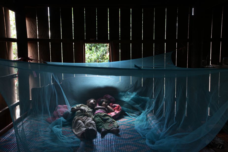Insecticide-treated bed nets (pictured) have been pivotal in bringing down malaria cases in recent years. But insecticide resistance is developing and likely to spread. With minimal new options to replace them, control efforts need a more sustainable option, such as a vaccine.