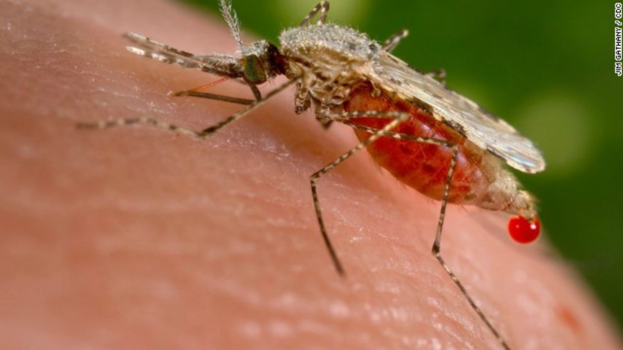 More than 13,600 patients have been diagnosed with Dengue in Bangladesh this year.