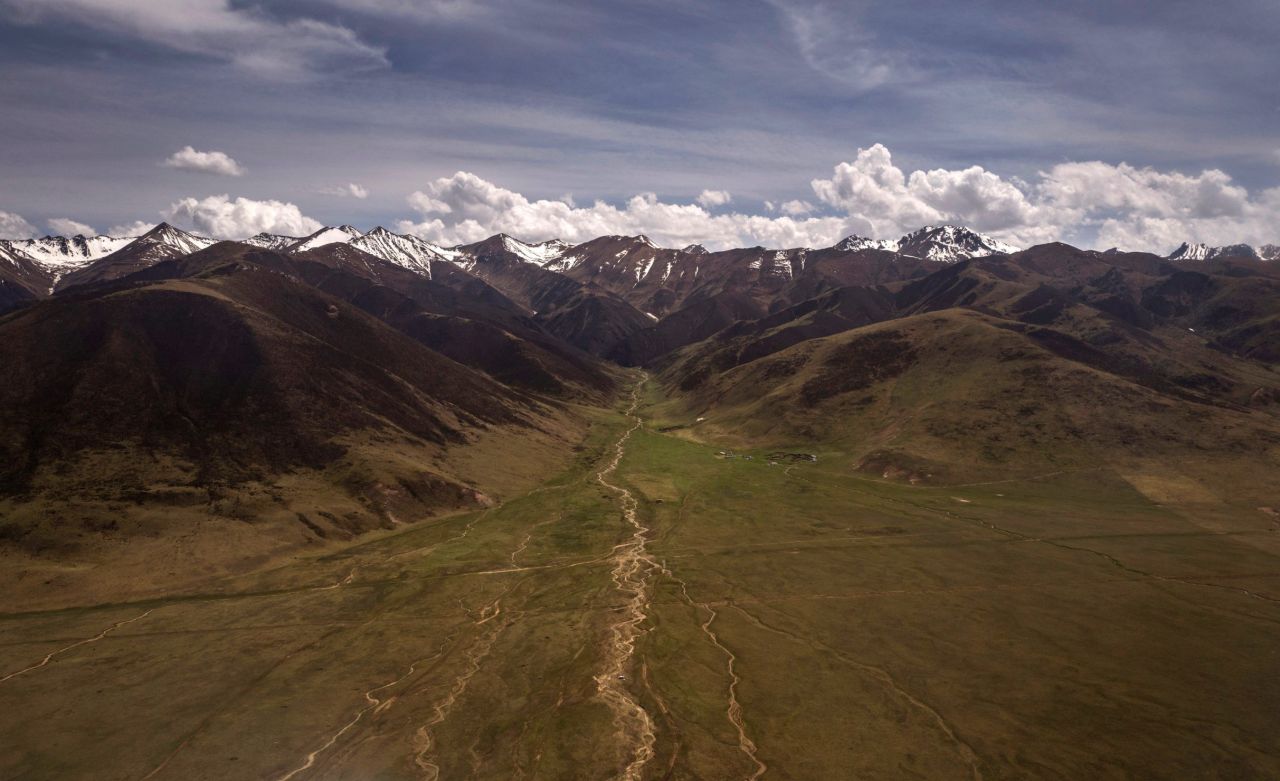 Getty photographer Kevin Frayer captures Tibet's "gold rush" for a prized fungus used in traditional medicine in a stunning series of images.  Nomads scour the Tibetan Plateau for the cordyceps fungus, which can sell for up to $50,000 per pound.