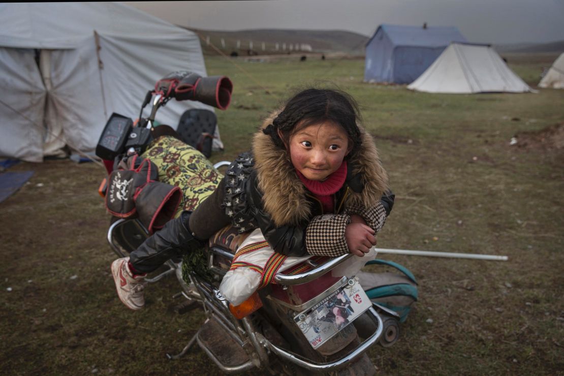  A Tibetan nomad girl rests on a motorcycle  at a temporary camp for picking cordycep fungus on May 22, 2016.