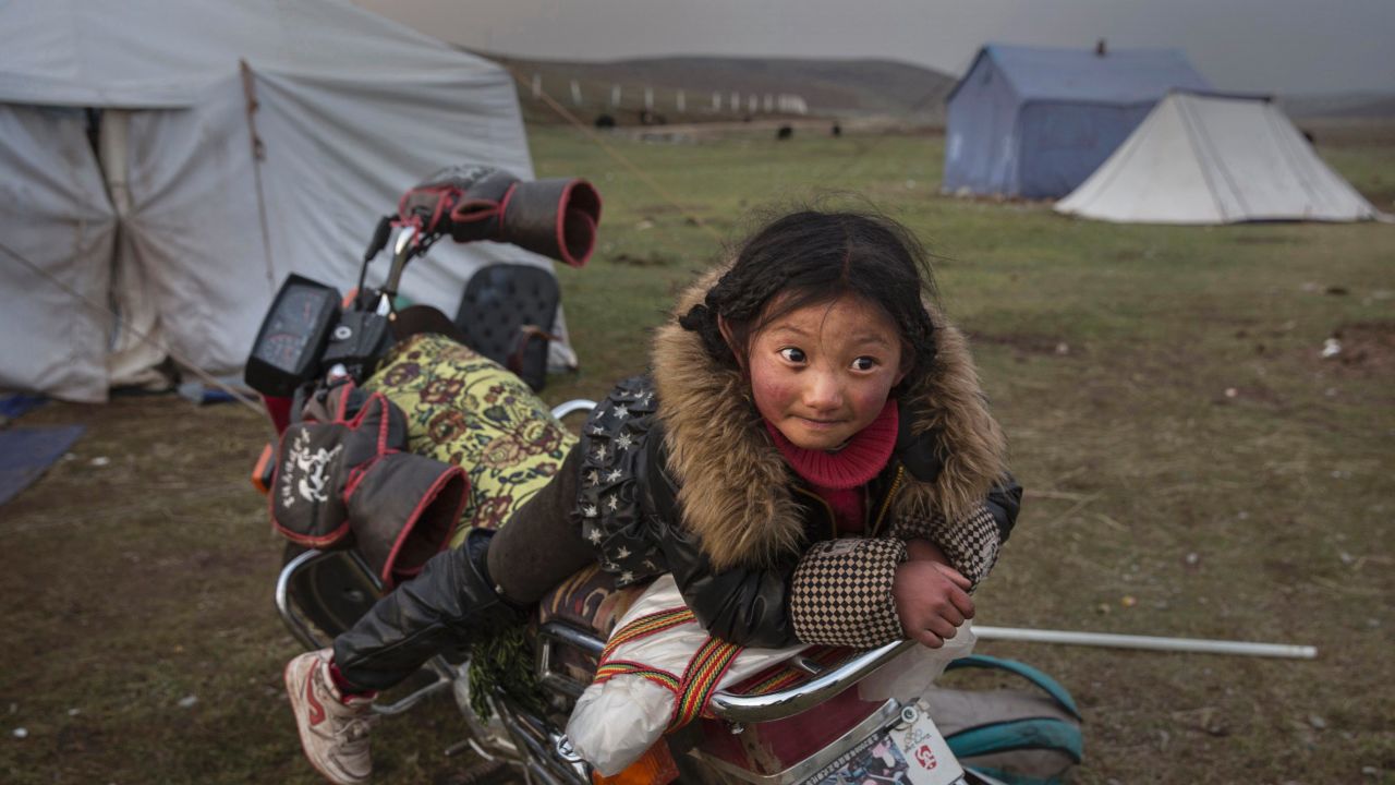  A Tibetan nomad girl rests on a motorcycle  at a temporary camp for picking cordycep fungus on May 22, 2016.