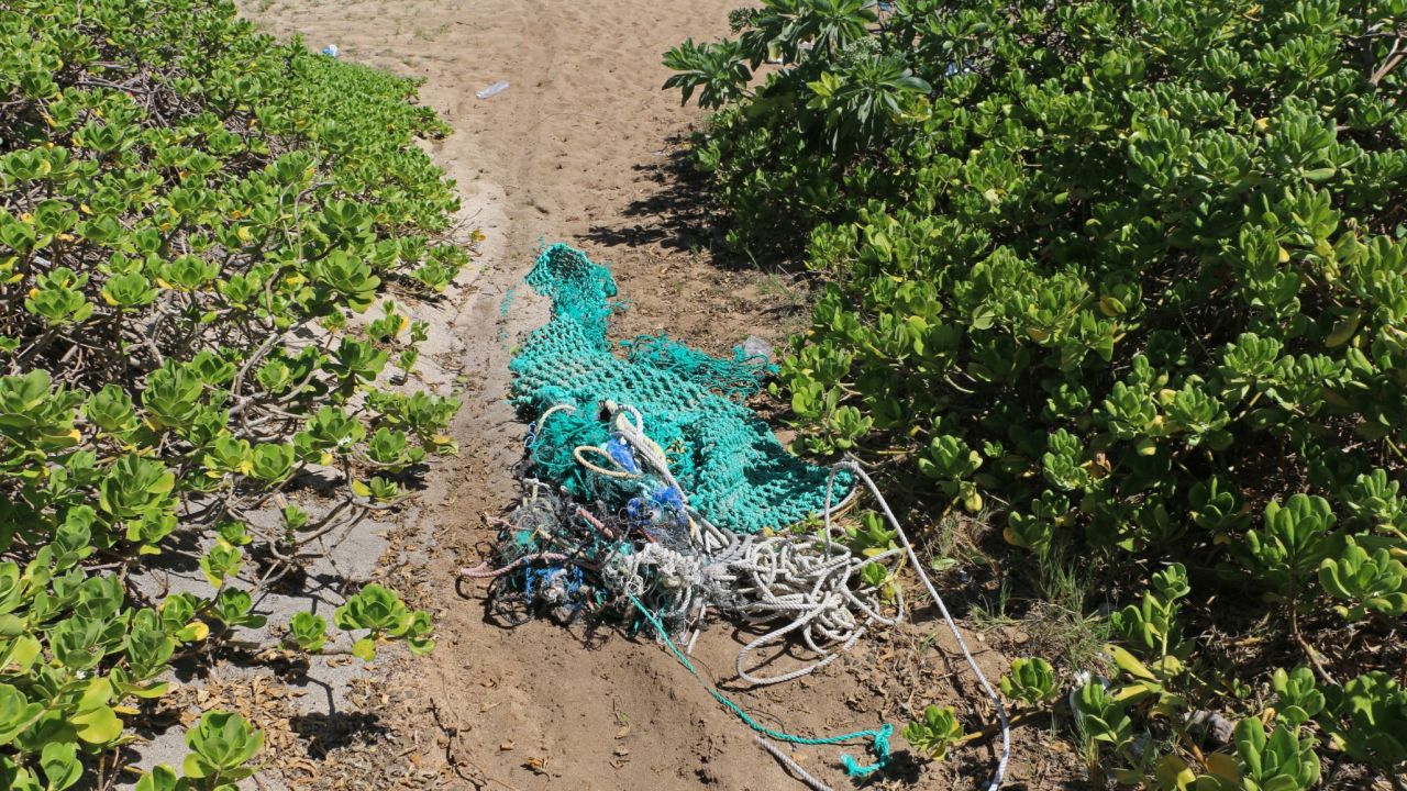 An aerial survey conducted between August through November 2015 suggests that this wave of trash is being carried in by the ocean's current.