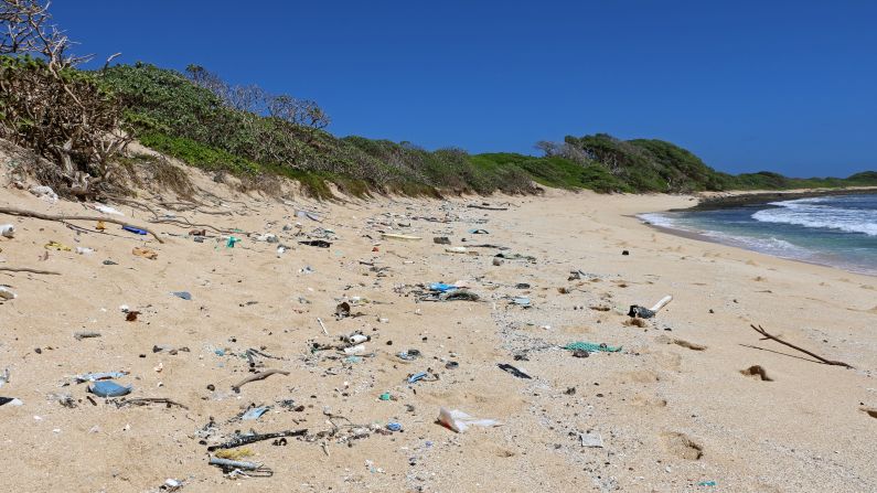 The Aloha State's shorelines are being littered with marine debris that is threatening not only the environment, but also critical wildlife.