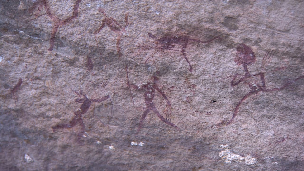 Pieter Jolly, an authority on rock paintings of the San, says that the purpose of much of the art is to represent what shamans would have seen when in a trance state. The purpose of the trance was to fight evil spirits bringing discord into the community.