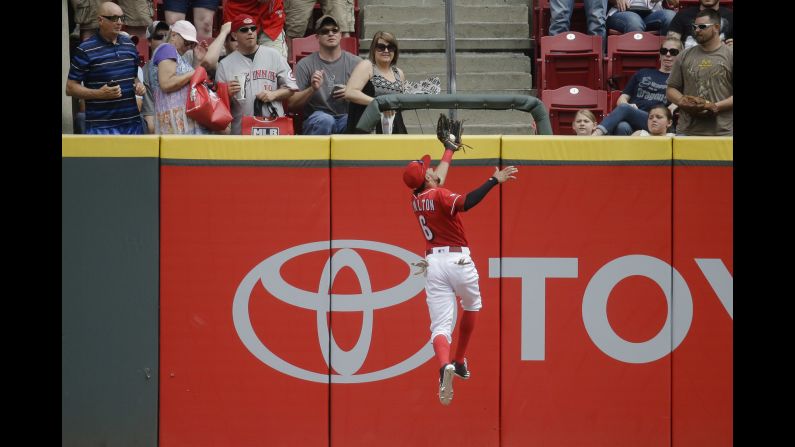 Cincinnati center fielder Billy Hamilton makes a leaping catch at the wall during a Major League Baseball game against Washington on Saturday, June 4.