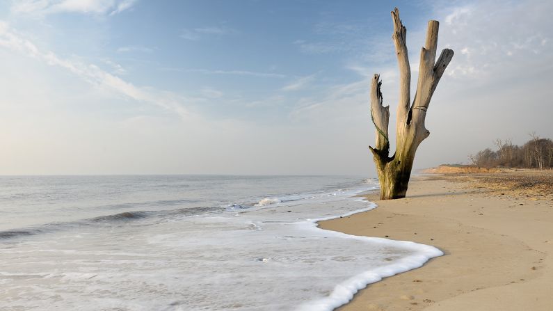 Photographer <a  target="_top" href="/newspapers?url=https://andrewstawarz.carbonmade.com/" target="_blank" target="_blank">Andrew Stawarz</a> captured this image of a weather-beaten dead tree poking out of the sand at Covehithe Beach on England's east coast.