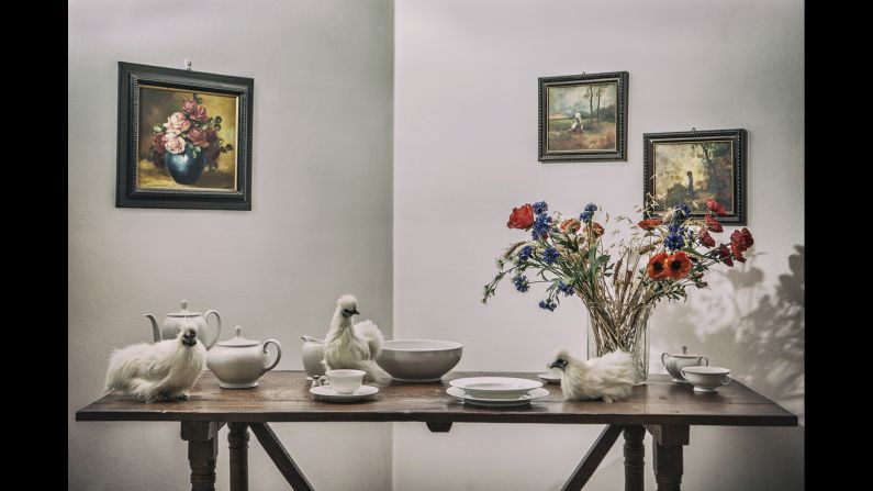 Ornamental chickens sit on a table at Chiara Sgambati's home in Pavia, Italy.