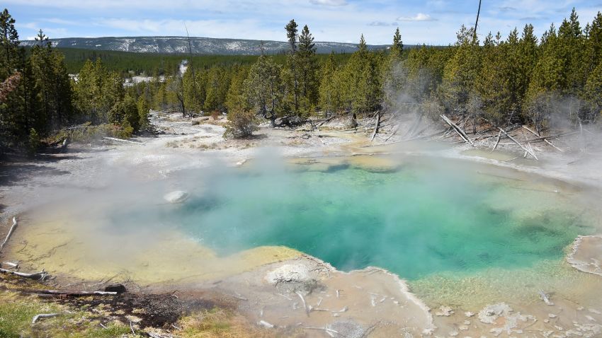 A view of a hot spring at the Norris Geyser Basin at Yellowstone National Park on May 12, 2016.
Yellowstone, the first National Park in the US and widely held to be the first national park in the world, is known for its wildlife and its many geothermal features.  / AFP / MLADEN ANTONOV        (Photo credit should read MLADEN ANTONOV/AFP/Getty Images)