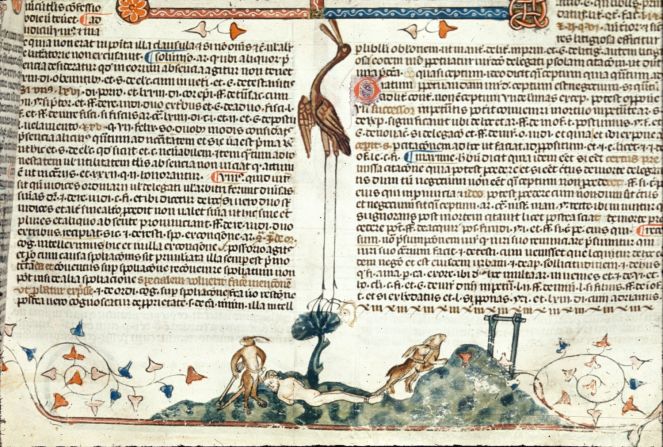 Two rabbits from  the <a href="http://www.bl.uk/manuscripts/FullDisplay.aspx?ref=Royal_MS_10_e_iv" target="_blank" target="_blank">"Smithfield Decretals"</a> pull a captive human towards inevitable doom. <br /><br /><em>Pictured: Royal 10 E IV   f. 61, British Museum</em>