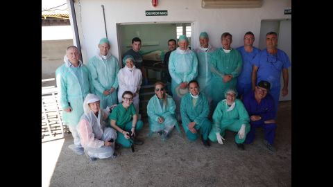 Researchers at Agropor field laboratory in Spain are collaborating with some American universities in chimera research.