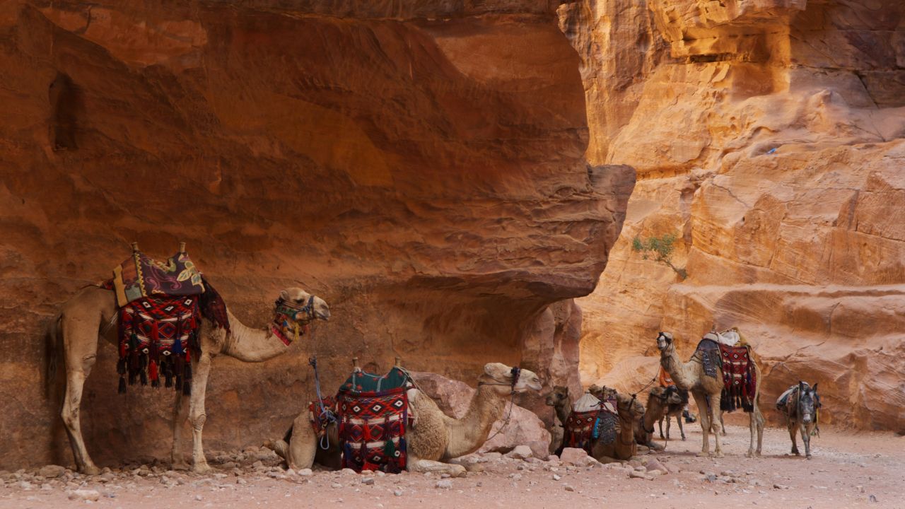 The Nabatean Royal Tombs of Petra.