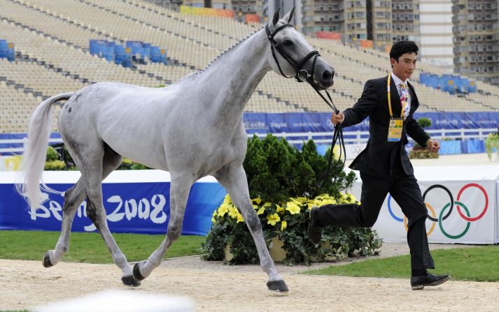 Hua Tian, who was China's youngest-ever eventing rider, shows his horse Watership Down on the first inspection for the eventing competition for the Beijing Games. The competition took place in Hong Kong to get around mainland China's quarantine rules.