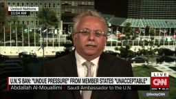 mouallimi saudi pressure yemen un intv ctw_00014316.jpg