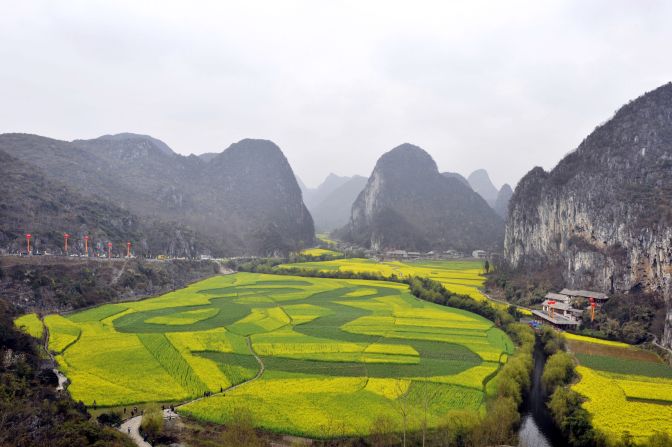 Rapeseed oil fields bloom amongst Guizhou's karst hills near the city of Anshun. 