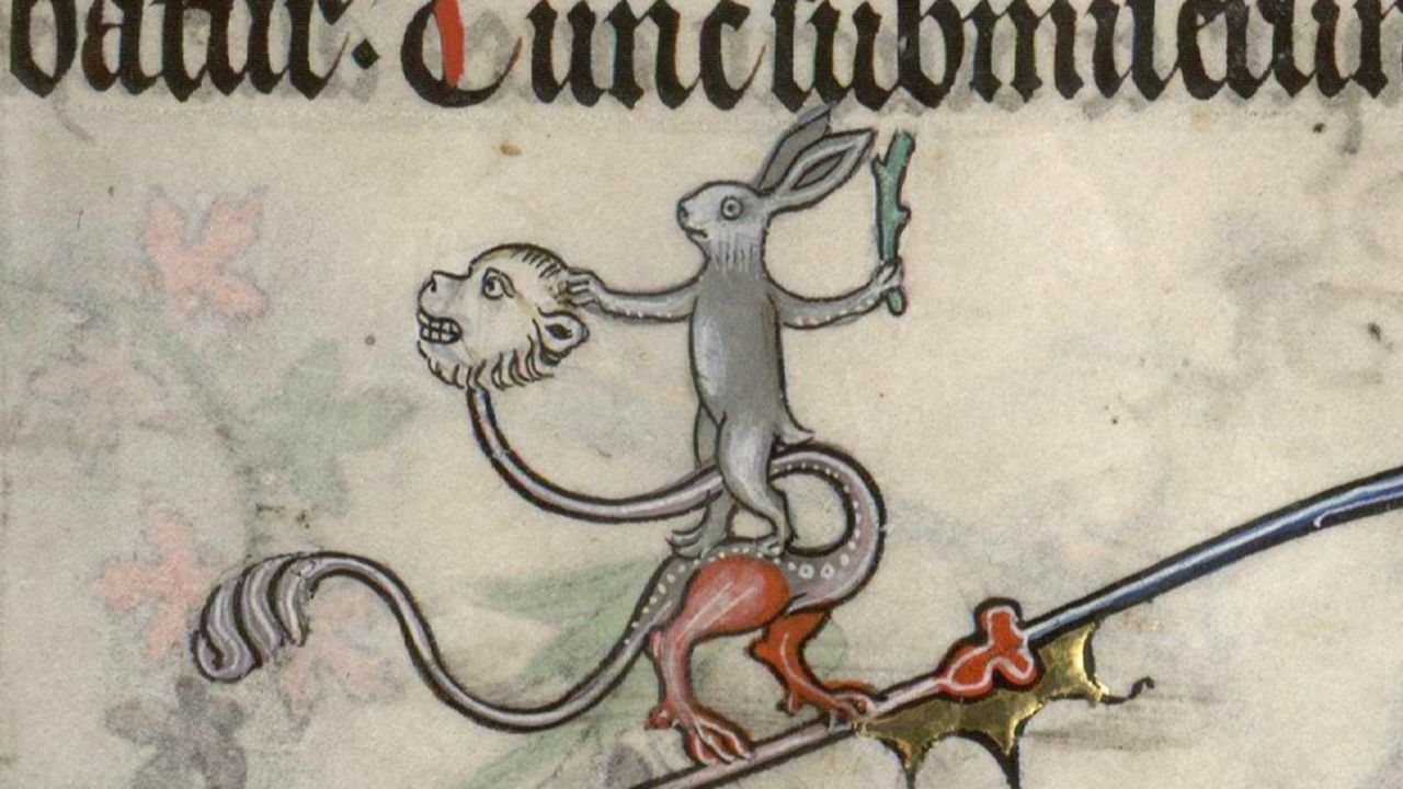 medieval killer rabbits tease 2