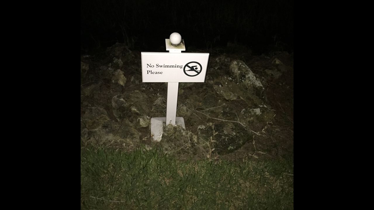 "No Swimming" signs are posted at the Disney resort.