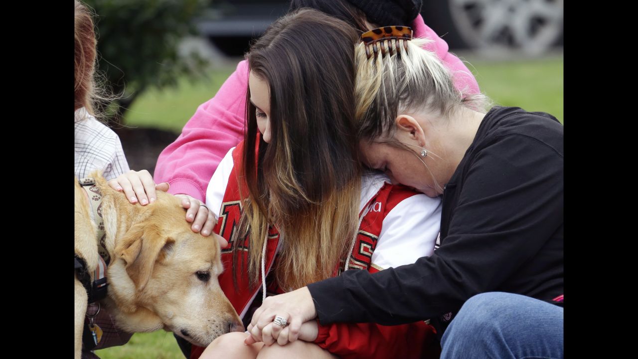 Fifteen-year-old Shayla Kline, left, pets Rex the therapy dog while getting a hug from her mother after a shooting in October 2014 at a high school in Marysville, Washington. Four students were killed, and one more was wounded. <br /><br />Why are dogs so good at comfort? Actually, not all are. A good therapy dog needs, above all, to have a great temperament. That means they should be calm at all times, even in the face of a hug that's too tight, loud noises and an occasional poke or two. They also need to love strangers as well as their own humans. And they need a well-trained human to be with them as part of the therapy team. 