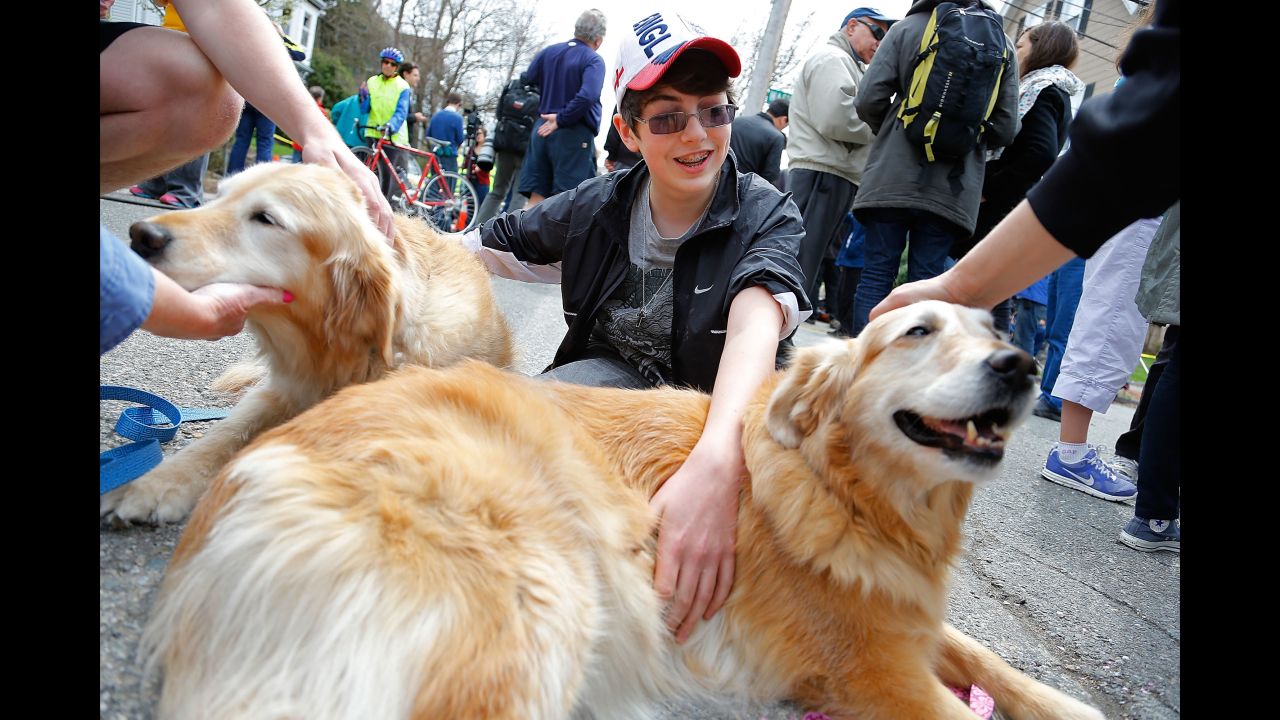 After the Boston Marathon bombing in April 2013, A.J. Feltner Harrison pets two certified therapy dogs, Archie, left, and Diva. The 13-year-old witnessed the initial shots fired when bomber Dzhokhar Tsarnaev was caught in Watertown, Massachusetts. The bombing, which occurred at the finish line of the marathon, killed three people and wounded at least 180.
