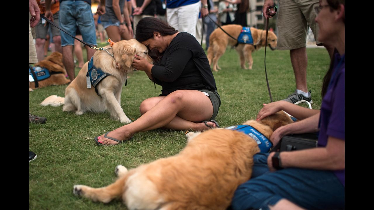 Melissa Soto cuddles with a therapy dog near a memorial for the victims of the Pulse nightclub shooting in Orlando, Florida. The attack, which killed 49 people and injured 53, is the worst mass-shooting event in American history.<br /><br />Research shows that petting a dog can lower blood pressure, decrease anxiety and release oxytocin, a hormone associated with bonding and affection. 