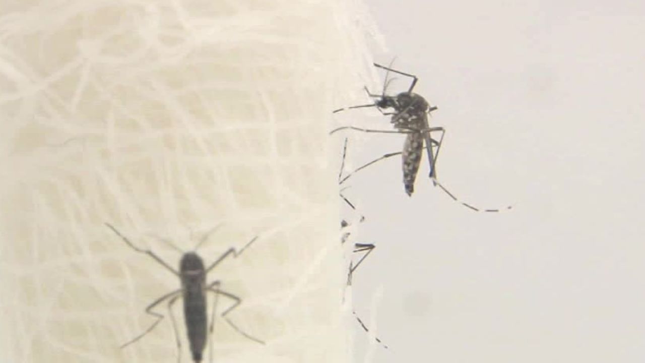 brazil rio zika olympics risk darlington pkg_00012415.jpg