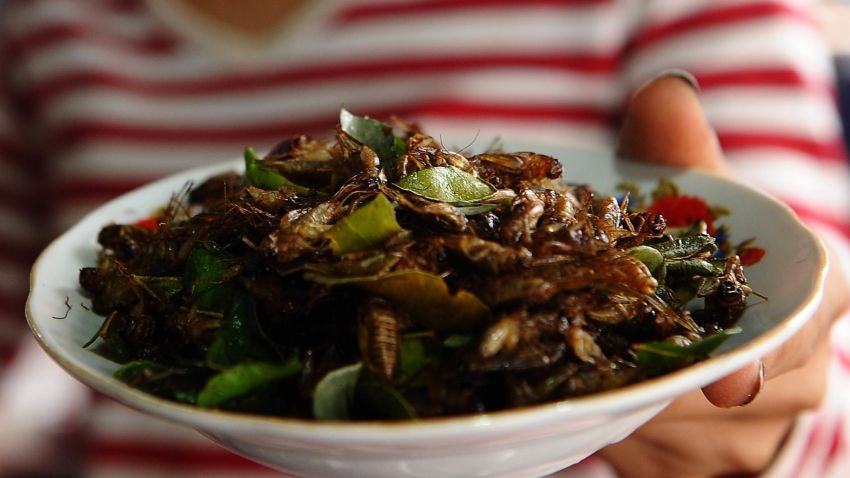 Lifestyle-Laos-food-insects,FEATURE, by Amelie Bottollier-DepoisThis picture taken on March 15, 2011 shows a vendor of fried insects handing over a plate of fried crickets at a local market in Vientiane. Raising crikets for foods is seen as a solution to the malnutrition  in the poor landlock country where a great number of people, especially children, suffer from.  AFP PHOTO/HOANG DINH Nam (Photo credit should read HOANG DINH NAM/AFP/Getty Images)