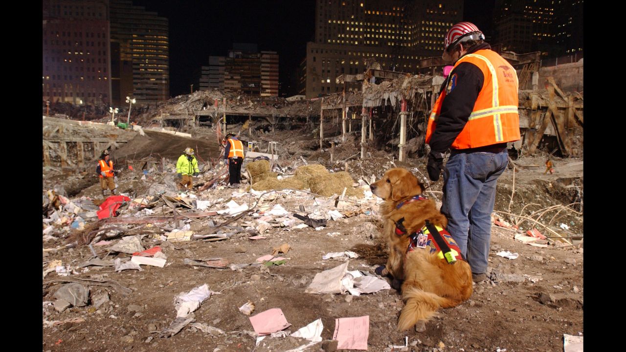 Frank Shane and his dog Nikie, the only therapy dog certified to work at the World Trade Center terrorist attacks site, overlook ground zero Friday, Jan. 18, 2002, in New York, while waiting to comfort workers undergoing the stress of working at the site. 