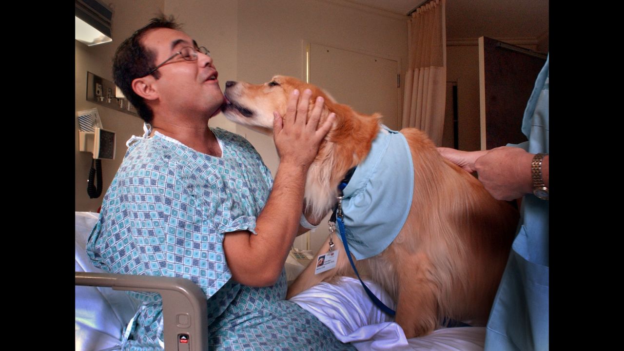 Patient Jesse Palado lets out a squeal as he's caught by surprise with a big wet kiss from Henry, a golden retriever, during a pet therapy visit from the dog in Palado's room at Cedars Sinai Hospital, Thursday morning in Los Angeles. The pet therapy program uses volunteers and their dogs to bring comfort and distraction to patients. 