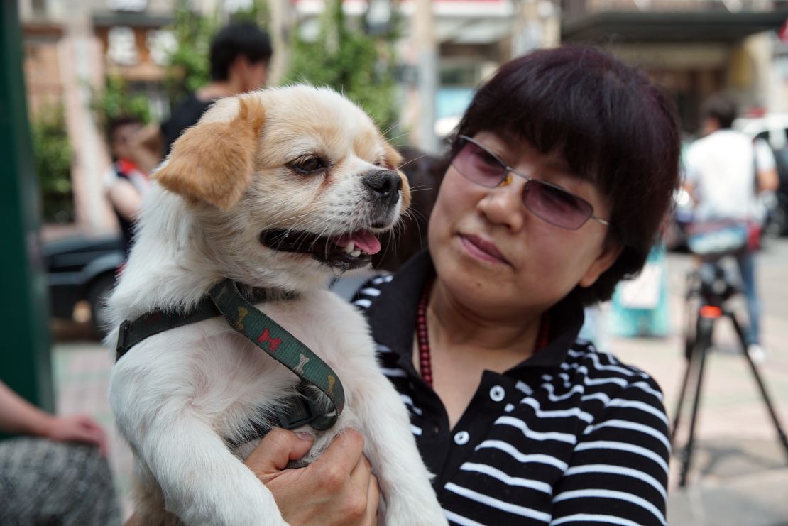 A Chinese dog lover and her dog was amogn a small number of animal rights activists that handed in a petition protesting the Yulin Dog Meat festival at government offices in Beijing on June 10 2016