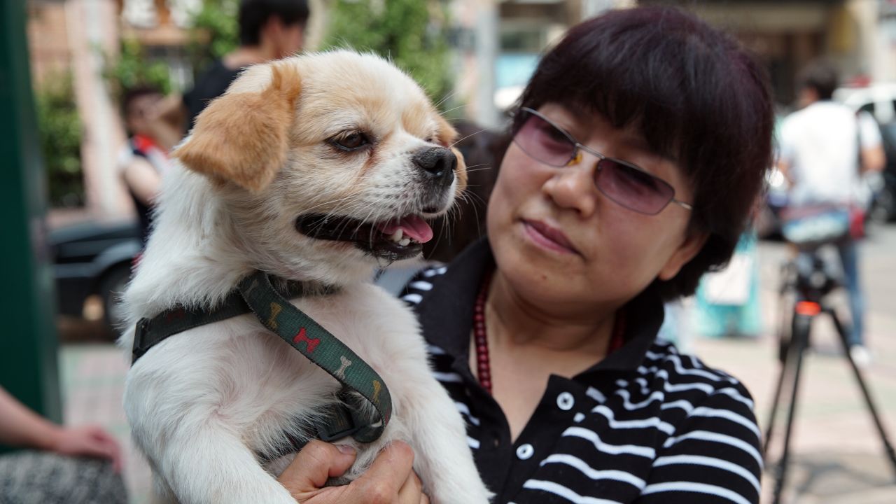 A Chinese dog lover and her dog was amogn a small number of animal rights activists that handed in a petition protesting the Yulin Dog Meat festival at government offices in Beijing on June 10 2016