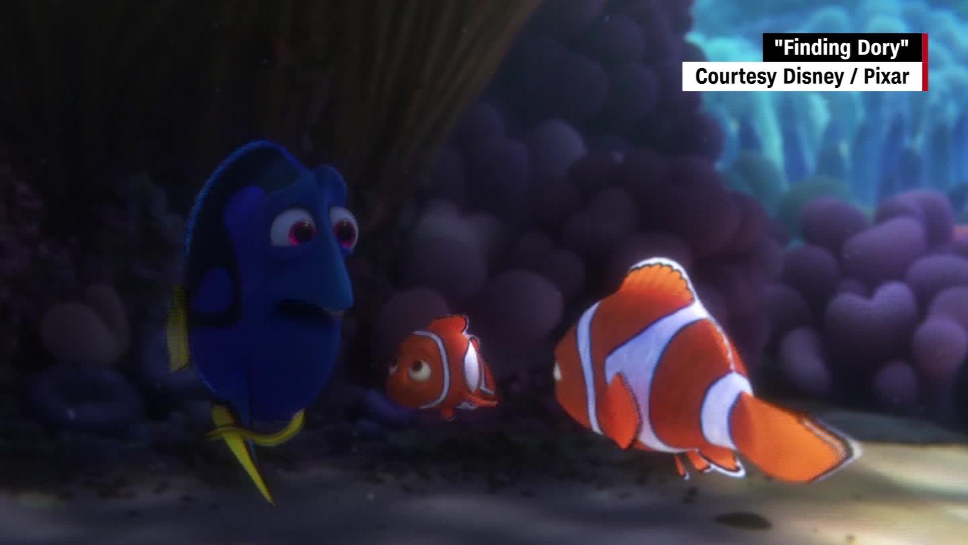 Finding Dory Trailer Reminds Us We Love Forgetful Fish